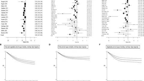 野菜と果物は1日800g必要なのか？死亡リスク研究とWHO基準から見る現実的な目安